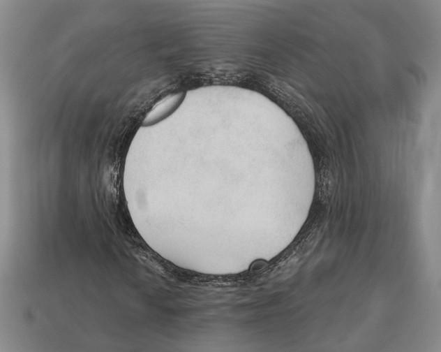 X0000112961010200909241155