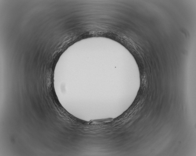 X0000112961012200909241155