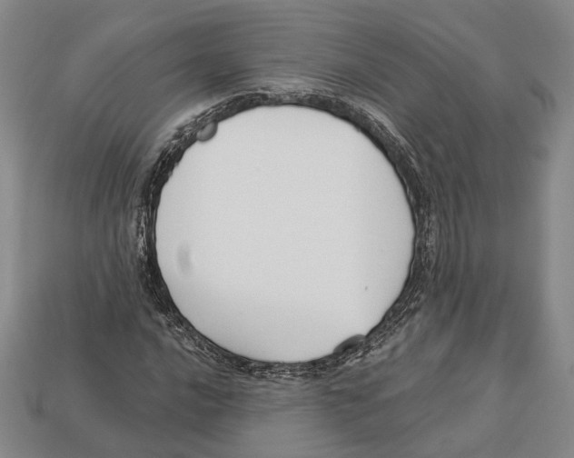 X0000112961016200909241155