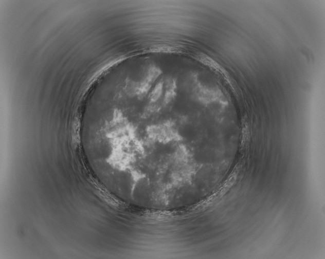 X0000112961019200909241155