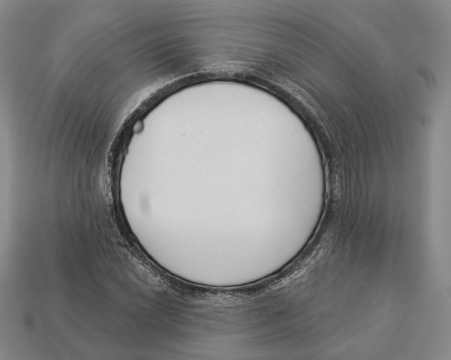 X0000112961022200909241155