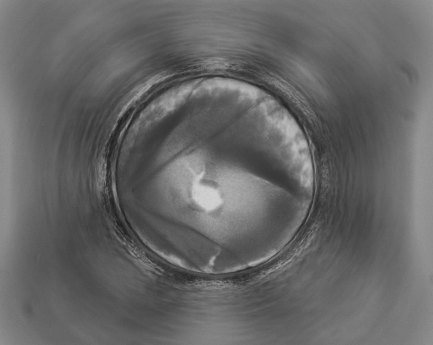 X0000112961023200909241155