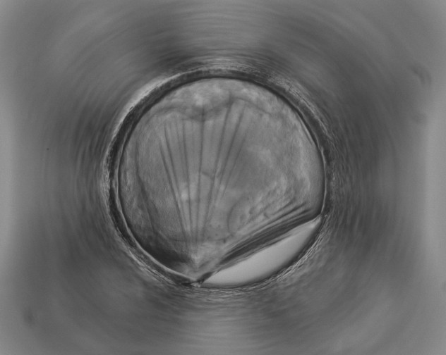 X0000112961024200909241155