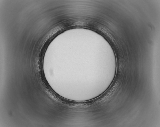 X0000112961026200909241155