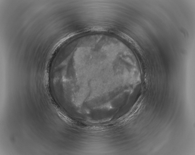 X0000112961027200909241155