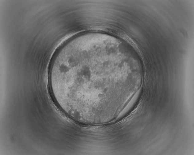 X0000112961028200909241155