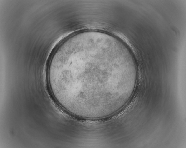 X0000112961032200909241155