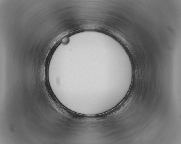 X0000112961034200909241155