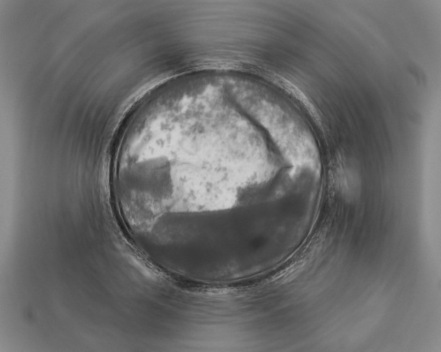 X0000112961035200909241155