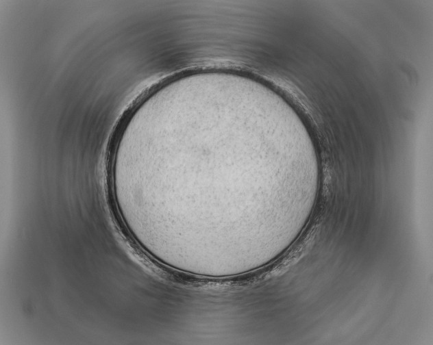 X0000112961038200909241155