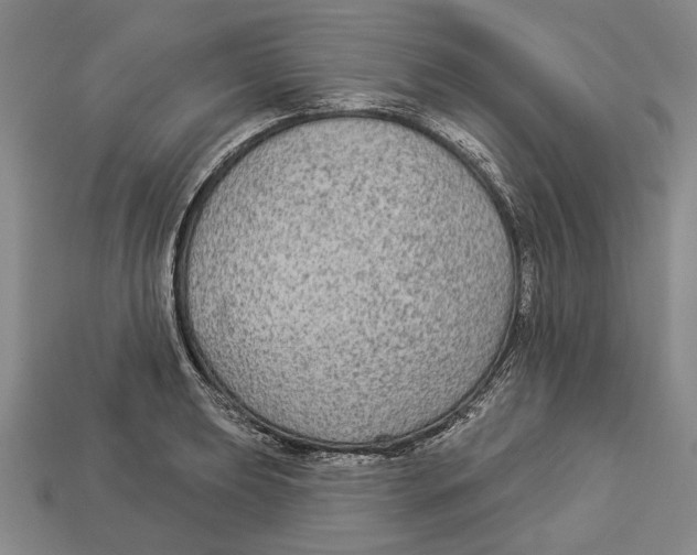 X0000112961039200909241155