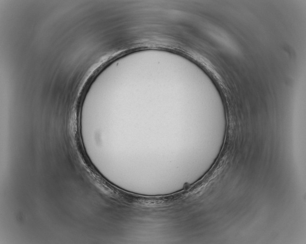 X0000112961040200909241155