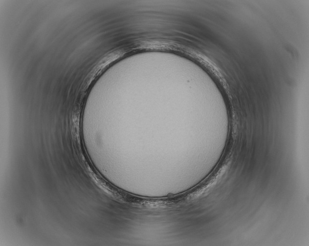 X0000112961041200909241155