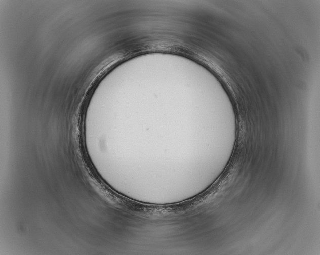 X0000112961042200909241155