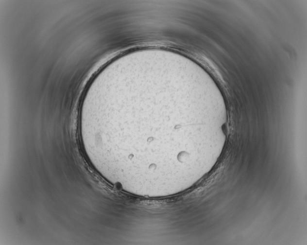 X0000112961044200909241155