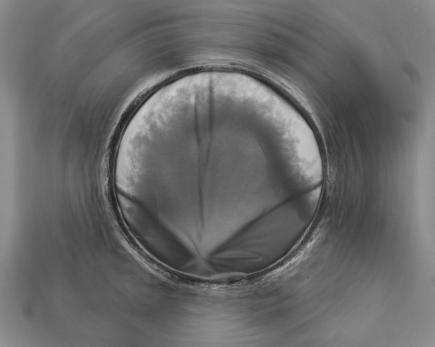 X0000112961045200909241155