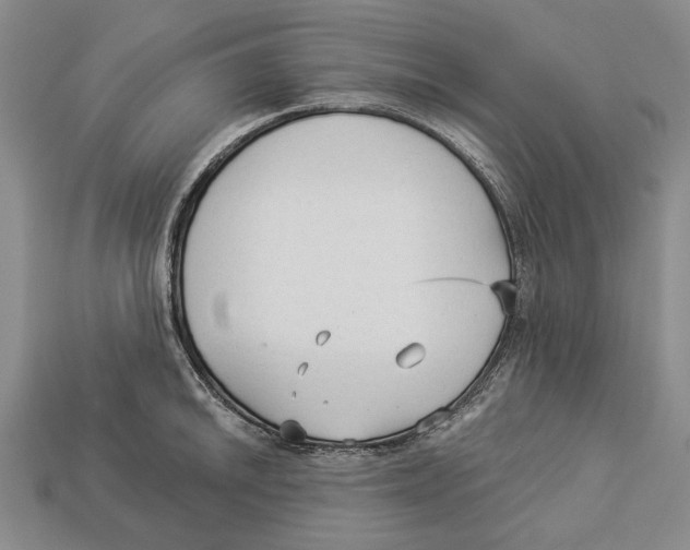 X0000112961046200909241155