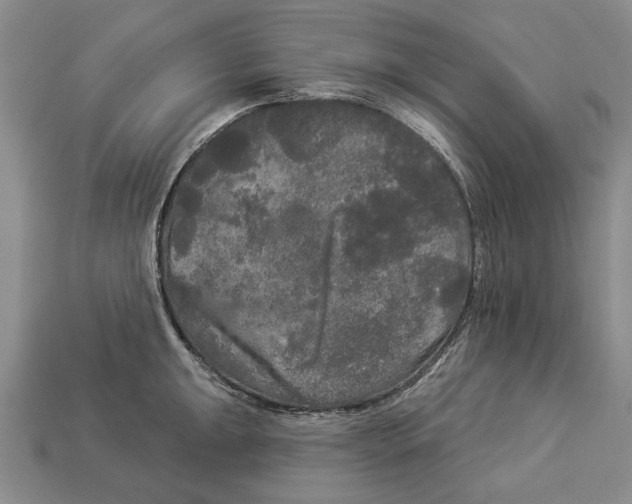 X0000112961047200909241155