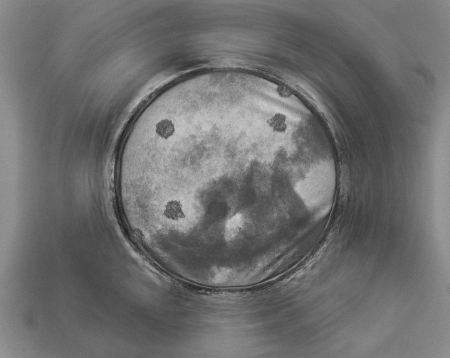 X0000112961048200909241155