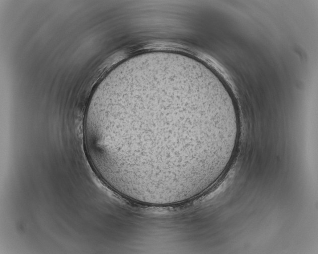 X0000112961049200909241155