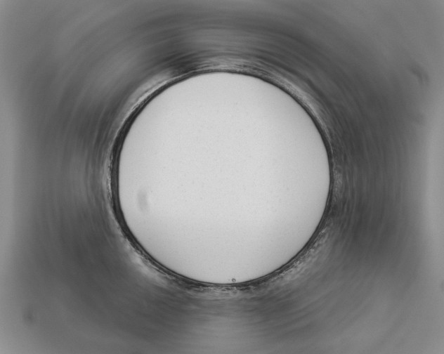 X0000112961050200909241156