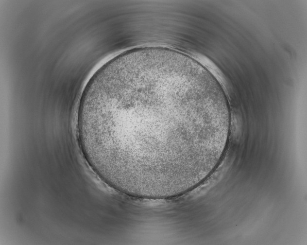 X0000112961052200909241156