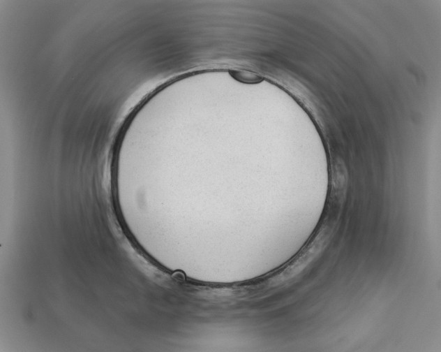 X0000112961054200909241156