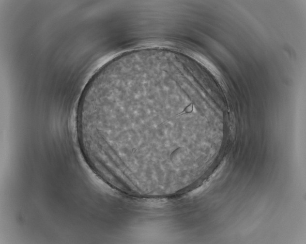 X0000112961055200909241156