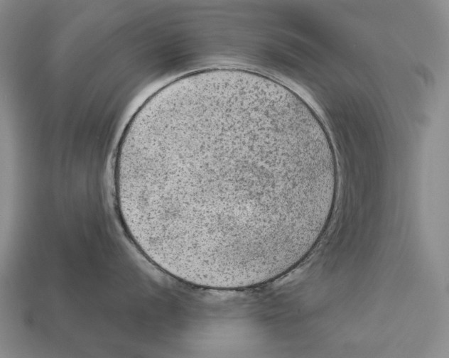 X0000112961056200909241156