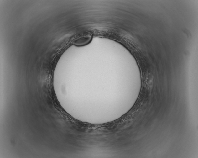 X0000112961061200909241155