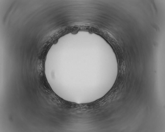 X0000112961062200909241155