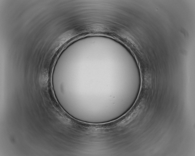 X0000112961065200909241155