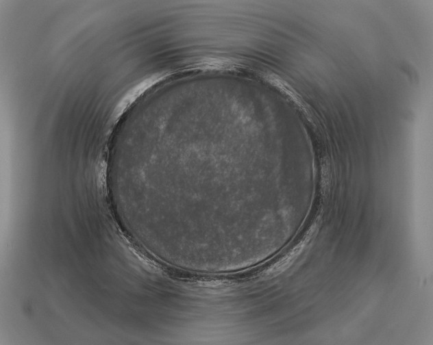 X0000112961066200909241155