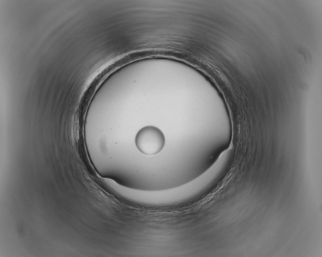 X0000112961069200909241155