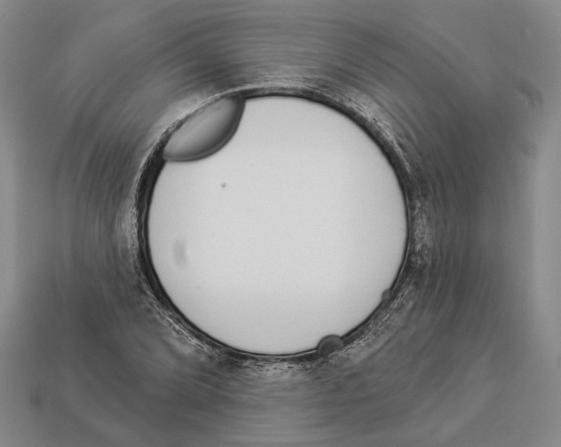 X0000112961072200909241155