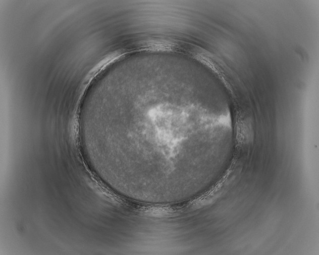 X0000112961074200909241155