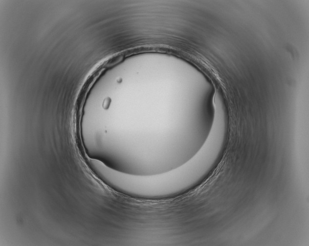 X0000112961076200909241155