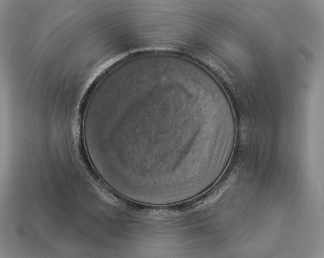 X0000112961077200909241155