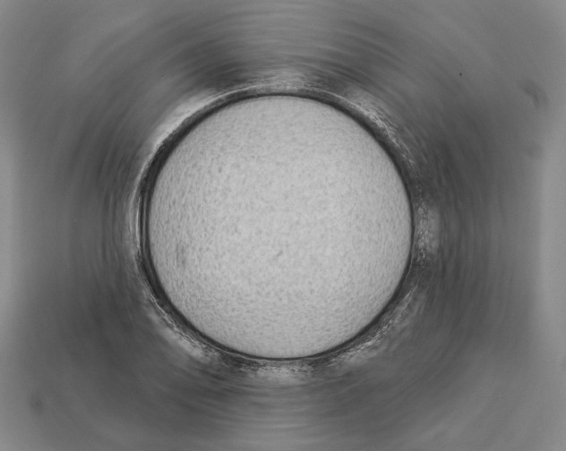 X0000112961078200909241155