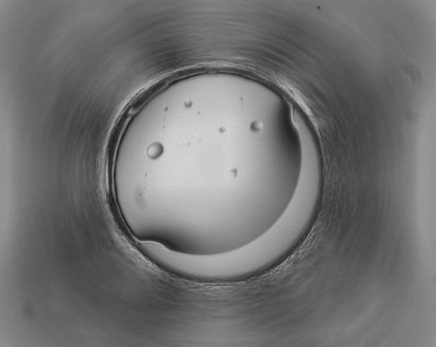 X0000112961080200909241155