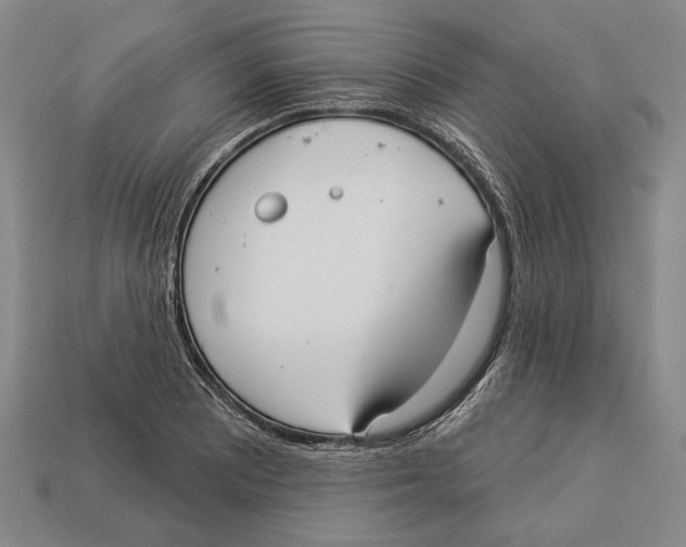 X0000112961081200909241155