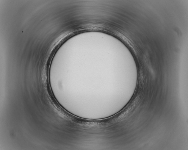 X0000112961082200909241155