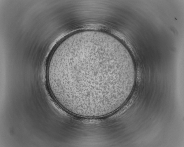 X0000112961083200909241155