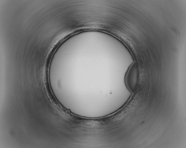 X0000112961085200909241155