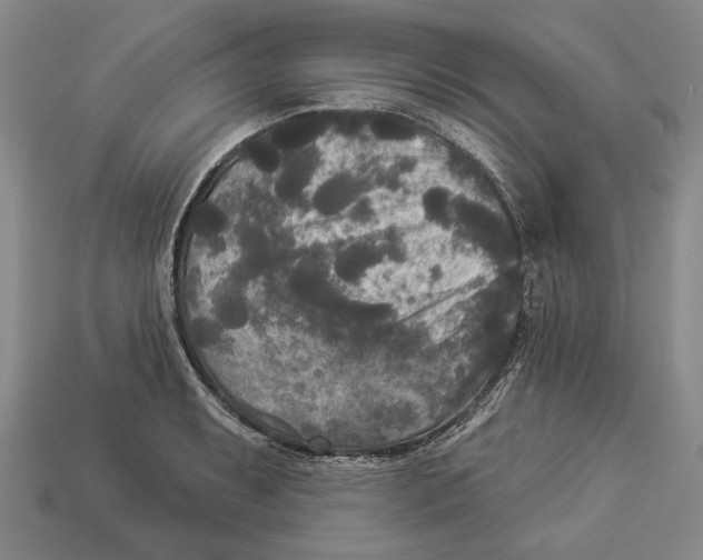 X0000112961087200909241155