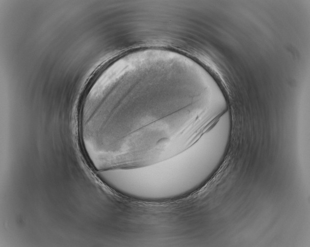 X0000112961088200909241155