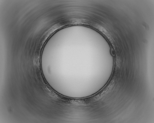 X0000112961089200909241155