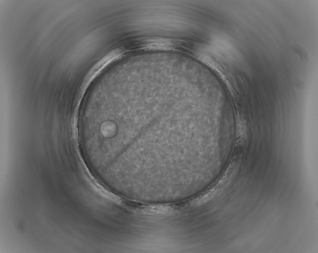 X0000112961090200909241155