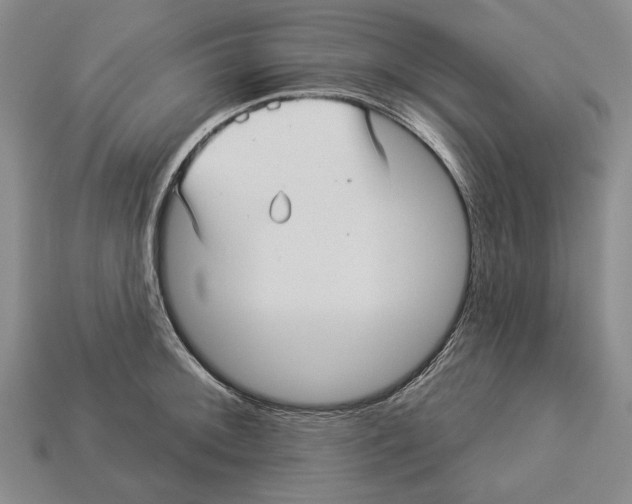 X0000112961092200909241155