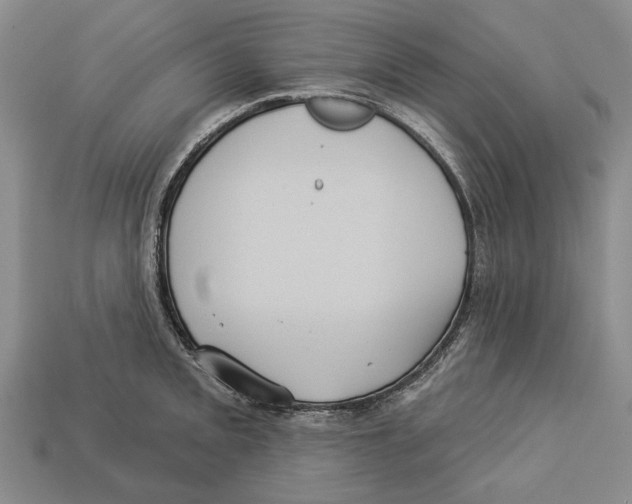 X0000112961093200909241155